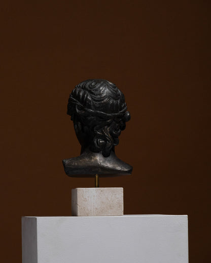 Busto di antinoüs