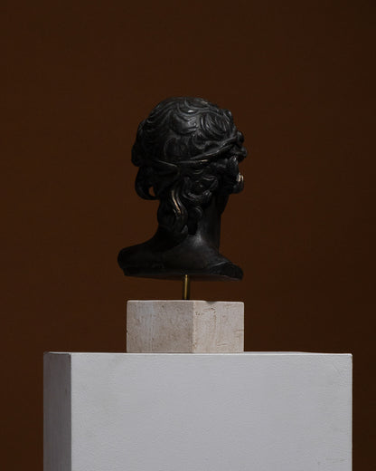 Busto di antinoüs