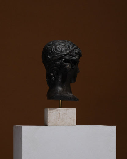 Busto di antinoüs