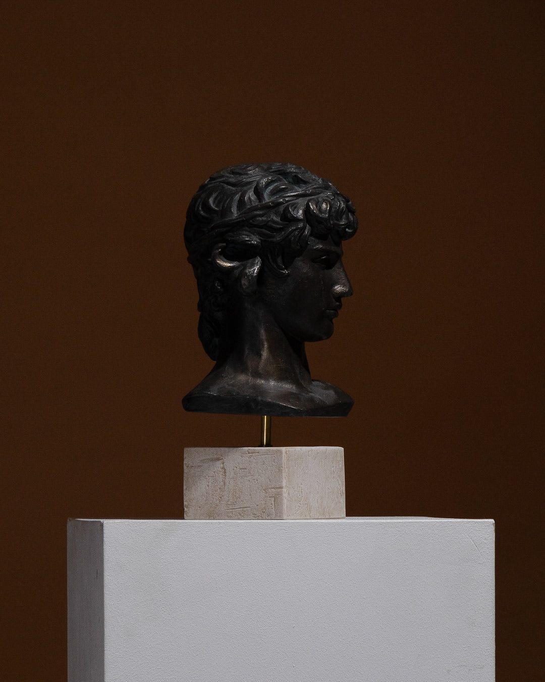 Busto di antinoüs