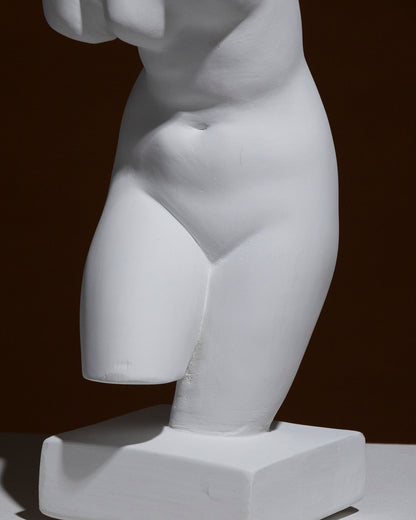 Venere Busto