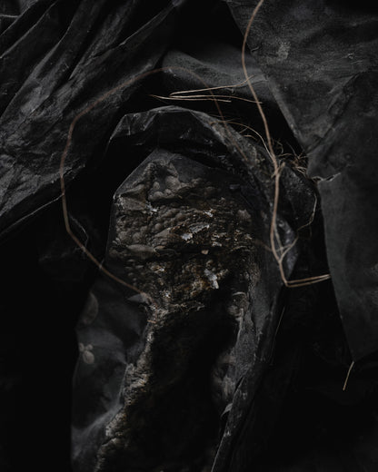 STORM PAINTING, KSENYA